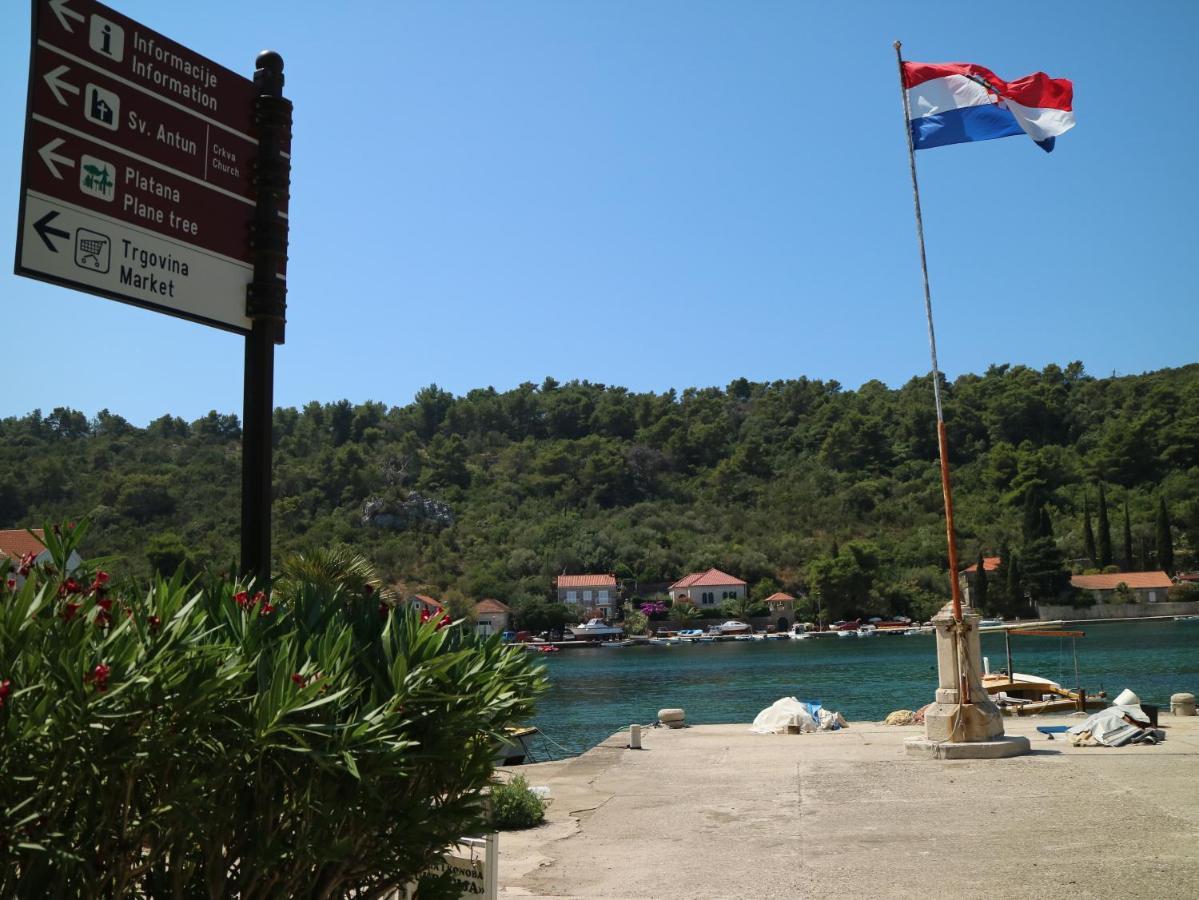 Studio Apartments & Rooms Lela, Sipan Island Sipanska Luka  Luaran gambar